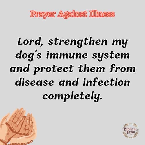 Prayer Against Illness