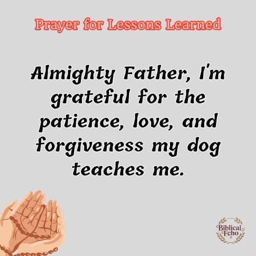 Prayer for Lessons Learned