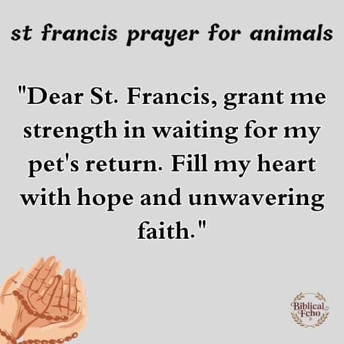 st francis prayer for animals st francis prayer for animals