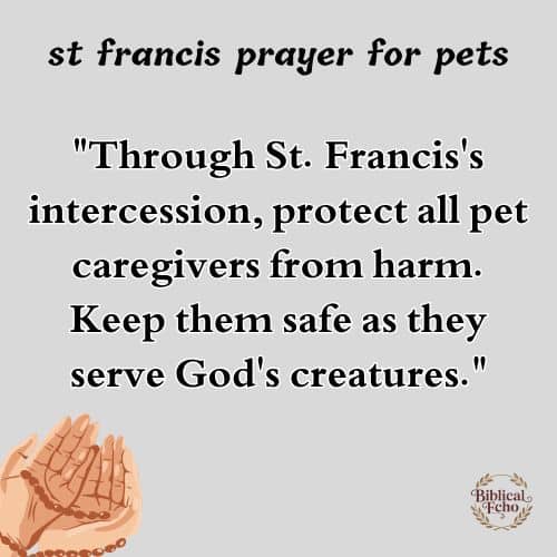 st francis prayer for pets st francis prayer for pets