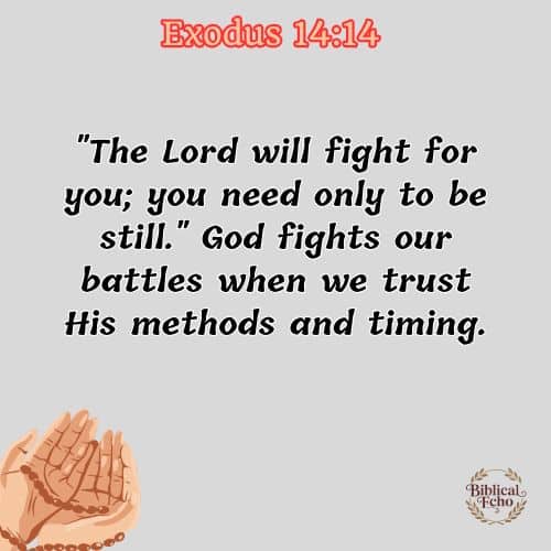 Exodus 14:14