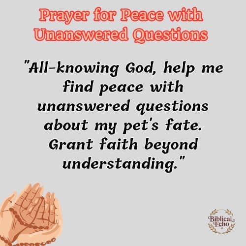 Prayer for Peace with Unanswered Questions